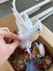 Assorted Bird Christmas Ornaments, Feathered and Fabric - 2