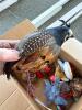 Assorted Bird Christmas Ornaments, Feathered and Fabric - 3