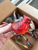 Assorted Bird Christmas Ornaments, Feathered and Fabric - 5