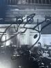 Signed Chris Botti In Boston Photo Print - 3