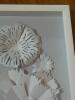 White Flower Shadowbox Framed Paper Art 16" x 16" - 5