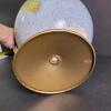Replogle Land and Sea Globe with Gold Metal Base - 5