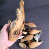 Hand Carved Wooden Birds and Driftwood Display, Folk Art Style - 5