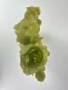 Carved Faux Jade Sculpture of Lotus Flowers and Corn - 4