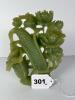 Carved Faux Jade Sculpture of Lotus Flowers and Corn - 7