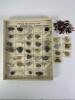 Rocks, Minerals, and Gemstones Collection with Tumbled Stones