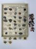 Rocks, Minerals, and Gemstones Collection with Tumbled Stones - 5