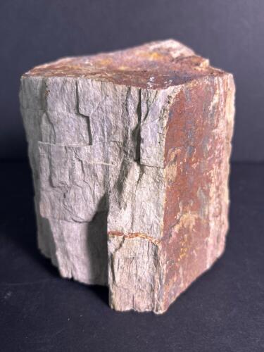 Petrified Wood Fossil Chunk with Natural Texture