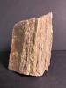 Petrified Wood Fossil Chunk with Natural Texture - 2