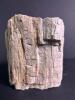 Petrified Wood Fossil Chunk with Natural Texture - 3