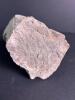 Petrified Wood Fossil Chunk with Natural Texture - 6