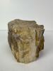 Petrified Wood Specimen - 2