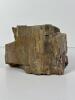 Petrified Wood Specimen - 4