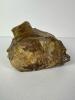 Petrified Wood Specimen - 6