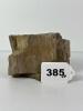 Petrified Wood Specimen - 8
