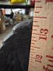 Cast Kneeling Angel Statue in the Manner of Garden Sculpture - 13