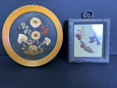 Two Miniature Framed Pressed Botanical Artworks