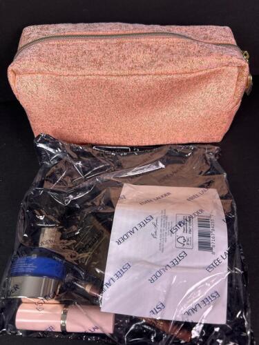 Est&eacute;e Lauder Cosmetic Bag With Skincare and Makeup Assortment