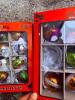 Two Boxes of Shiny Brite Halloween Glass Ornaments - 4