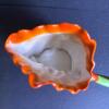 Royal Bayreuth Bavaria Poppy-Form Porcelain Cup - 4