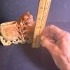 Carved Stone Double Brush Washer - 5