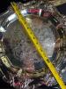 Assorted Glass Relish Trays and International Brass Serving Trays - 5