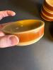Stoneware Ramekins, Candle Bases, and Coasters Assortment - 6