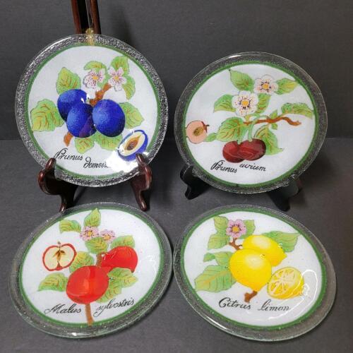 Decorative Glass Fruit Plates and Porcelain Handle Salad Serving Set