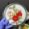 Decorative Glass Fruit Plates and Porcelain Handle Salad Serving Set - 2