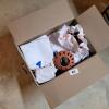 Lot of Miscellaneous Ceramic, Glass, and Terracotta