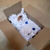 Lot of Miscellaneous Ceramic, Glass, and Terracotta - 4