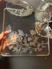 Silver Overlay Glass Tableware with Floral and Anniversary Motifs - 3