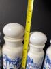 Belgium Blue Transferware Apothecary Jars - 5
