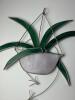Stained Glass Spider Plant Hanging Panel - 2