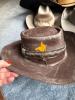 Assorted Western Cowboy Hats Stetson, Bailey, American Hat Co. - 4