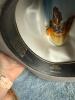 Assorted Western Cowboy Hats Stetson, Bailey, American Hat Co. - 8