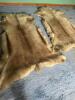 Pair of Tanned Fur Hides with Natural Tan Coloring