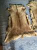 Pair of Tanned Fur Hides with Natural Tan Coloring - 2