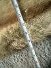 Pair of Tanned Fur Hides with Natural Tan Coloring - 10