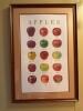 Framed Apples Chart Poster, Decorative Wall Clock, and Hanging Wind Chime - 2