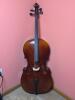Wenzel Kohler Cello with Soft Case
