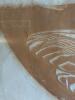 41X22" Framed Cicada Print by William Kent 1963 - 6