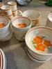 Lenox Temper-Ware Fire Flower Dinnerware Set - 6