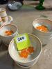 Lenox Temper-Ware Fire Flower Dinnerware Set - 9