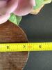 Andrea by Sadek Pink Porcelain Rose on Wood Base - 8