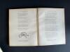 Ancient Europe by Stuart Piggott with Dust Jacket - 3