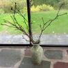 Green Glazed Vase with Wooden Stand and Decorative Branches