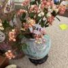 Chinese Famille Rose-Style Ceramic Vase with Stand - 8