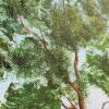 Pair of Framed May Erwin Landscape Paintings, 26"x20" - 5