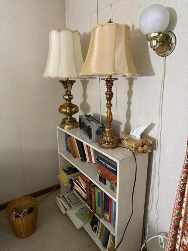 White Wood Bookcase with Books and Lamps